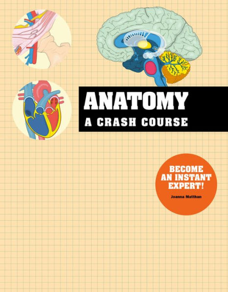 Crash Course: Anatomy