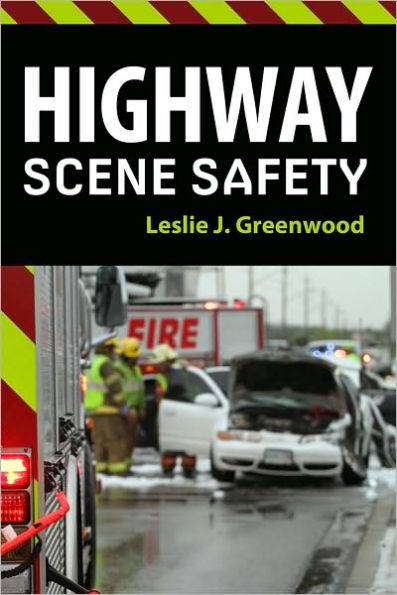 Highway Scene Safety / Edition 1