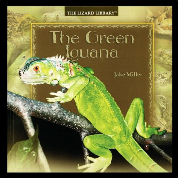 The Green Iguana