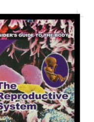 Title: The Reproductive System, Author: Kerri O'Donnell
