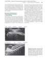 Alternative view 2 of Thompson & Thompson Genetics in Medicine / Edition 8