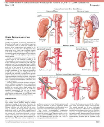 The Netter Collection Of Medical Illustrations Urinary System E Bookhardcover - 