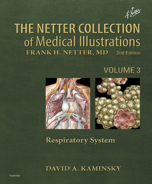 The CIBA Collection of Medical 2024 Illustrations Vol 7 Respiratory System Netter