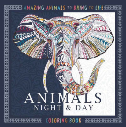 Animals Night Day Coloring Book Amazing To Bring Life