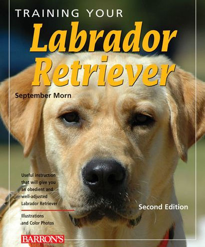 Training Your Labrador Retriever by September Morn, Paperback | Barnes ...