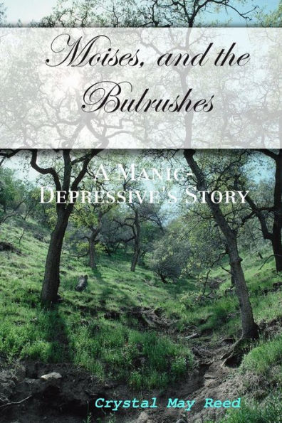 Moises, and the Bulrushes: A Manic-Depressive's Story