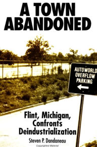 Title: A Town Abandoned: Flint, Michigan, Confronts Deindustrialization, Author: Steven P. Dandaneau