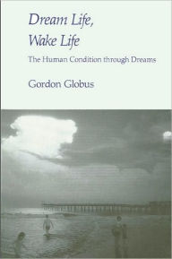 Title: Dream Life, Wake Life, Author: Gordon G. Globus