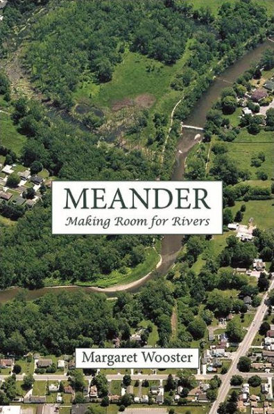 Meander: Making Room for Rivers