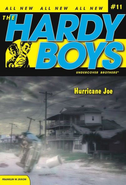 Hurricane Joe (Hardy Boys Undercover Brothers Series #11)