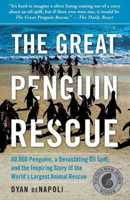 The Great Penguin Rescue 40 000 Penguins A Devastating