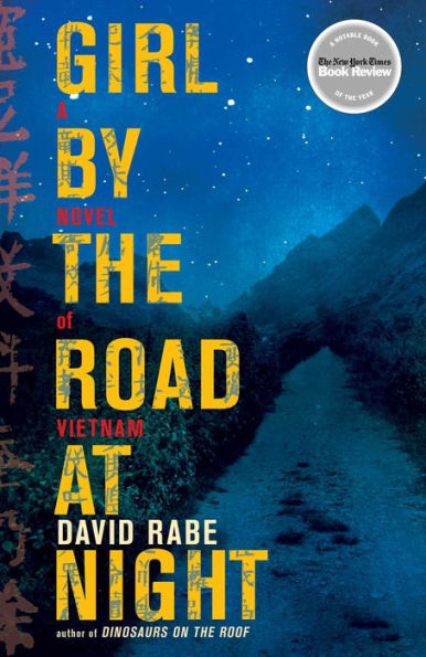 Girl by the Road at Night: A Novel of Vietnam