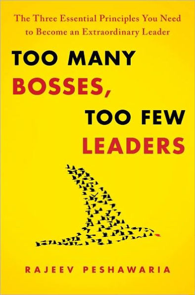 Too Many Bosses, Too Few Leaders: The Three Essential Principles You Need to Become an Extraordinary Leader