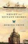 Bright and Distant Shores: A Novel