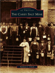 Title: The Carey Salt Mine, Author: Barbara C. Ulrich