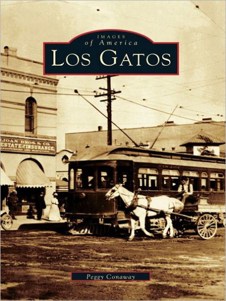 Los Gatos