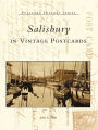 Salisbury in Vintage Postcards