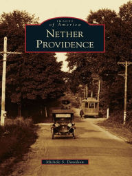 Title: Nether Providence, Author: Michele S. Davidson