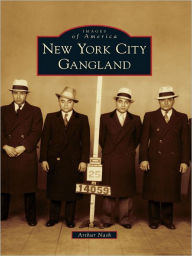 Title: New York City Gangland, Author: Arthur Nash