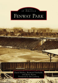 Title: Fenway Park, Author: David Hickey