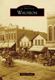 Title: Wauseon, Author: Robert Krumm