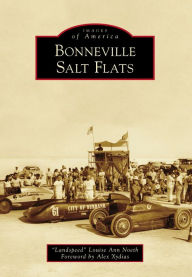 Title: Bonneville Salt Flats, Author: 
