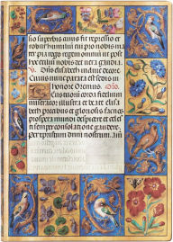 Spinola Hours Softcover Flexis Midi 176 pg Lined Ancient Illumination