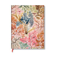 Read download books online Anemone MIDI Unlined Softcover Journal, 176pg, 100gsm by Paperblanks (William Kilburn) by Paperblanks