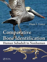 Title: Comparative Bone Identification: Human Subadult to Nonhuman / Edition 1, Author: Diane L. France