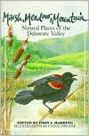 Title: Marsh Meadow Mountain, Author: John Harding