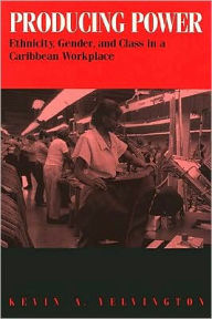 Title: Producing Power: Ethnicity, Gender, and Class in a Caribbean Workplace, Author: Kevin Yelvington