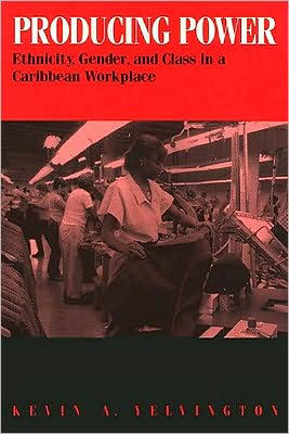 Producing Power: Ethnicity, Gender, and Class in a Caribbean Workplace