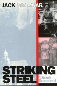 Title: Striking Steel: Solidarity Remembered, Author: Jack Metzgar