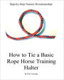 Step By Step: How To Tie A Basic Rope Horse Training Halter