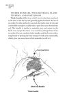 Alternative view 4 of Bushcraft 101: A Field Guide to the Art of Wilderness Survival