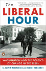 The Liberal Hour: Washington and the Politics of Change in the 1960s