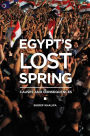 Egypt's Lost Spring: Causes and Consequences: Causes and Consequences