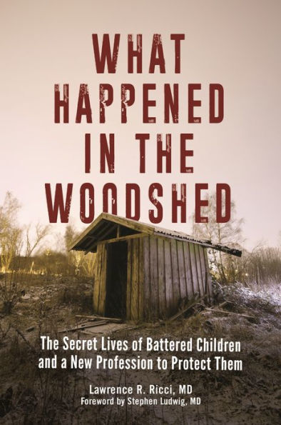 What Happened The Woodshed: Secret Lives of Battered Children and a New Profession to Protect Them