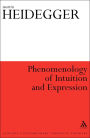 Phenomenology of Intuition and Expression