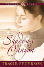 Shadows of the Canyon (Desert Roses Series #1)