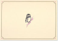 Title: Owl Portrait Boxed Note Cards S/14