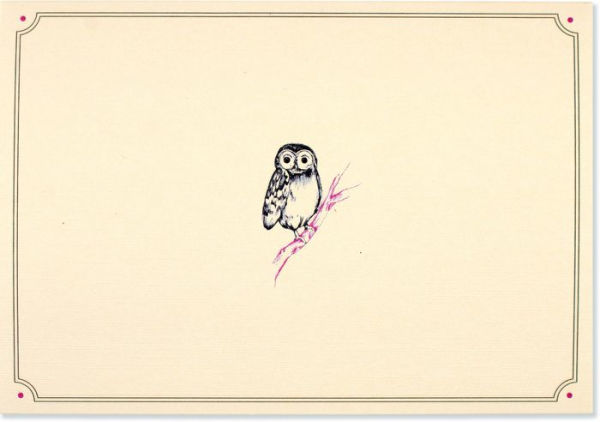 Owl Portrait Boxed Note Cards S/14