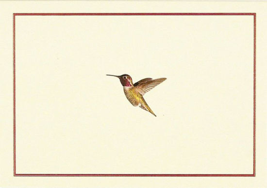Hummingbird Flight Note Cards (Stationery, Boxed Cards)