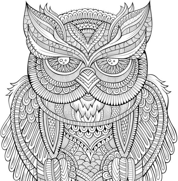 Owl Town Artist's Coloring Book