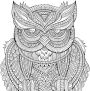 Alternative view 3 of Owl Town Artist's Coloring Book