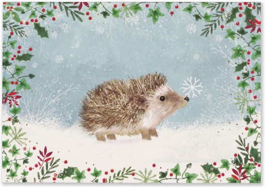 Harry The Hedgehogs Christmas Adventure