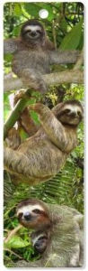 Title: 3D Bookmark - Sloths