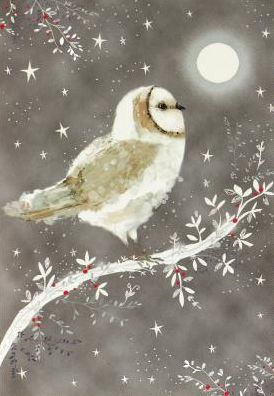 Starry Night Owl Christmas Boxed Card
