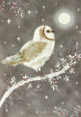 Starry Night Owl Christmas Boxed Card