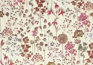 Title: Wildflower Meadow Note Cards (Stationery, Boxed Cards), Author: Peter Pauper Press Inc